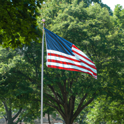 תמונה של דגל גדול של ארצות הברית מתנוסס על תורן בפארק עירוני.